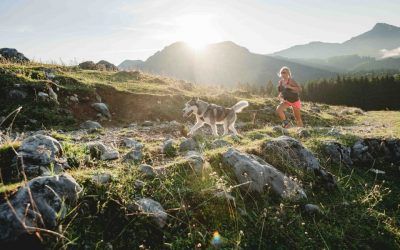 Dog trail running